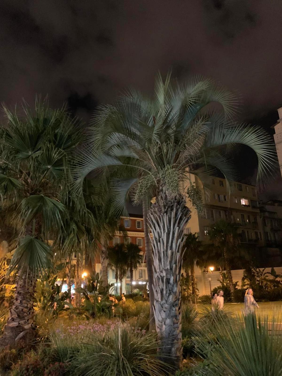 Apartment 33 On The Old Historic Senate Square ニース エクステリア 写真