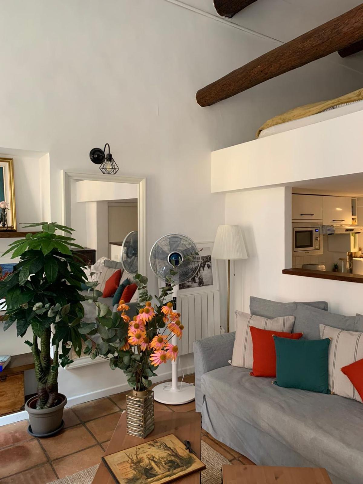 Apartment 33 On The Old Historic Senate Square ニース エクステリア 写真